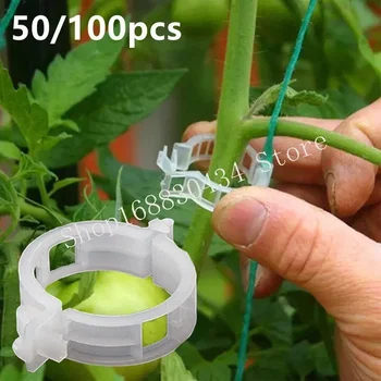 50/100 бр Пластмасови щипки за подпомагане на растенията, многократно скоби за растенията, инструмент за имунизации, стойки, градински принадлежности за домати